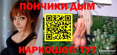 стаф Шелехов