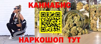 стаф Шелехов