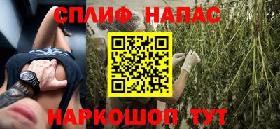 стаф Шелехов