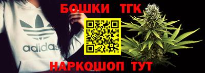 стаф Шелехов