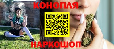 стаф Шелехов
