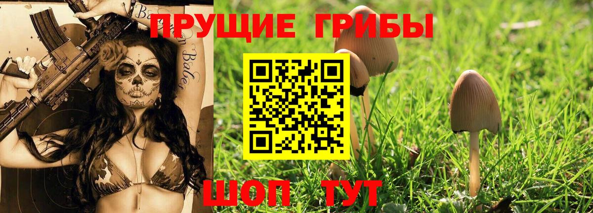 Галлюциногенные грибы MAGIC MUSHROOMS  Вход с VPN  Соль-Илецк  цены наркотик  Галлюциногенные грибы мицелий 